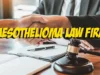 what do mesothelioma lawyers do